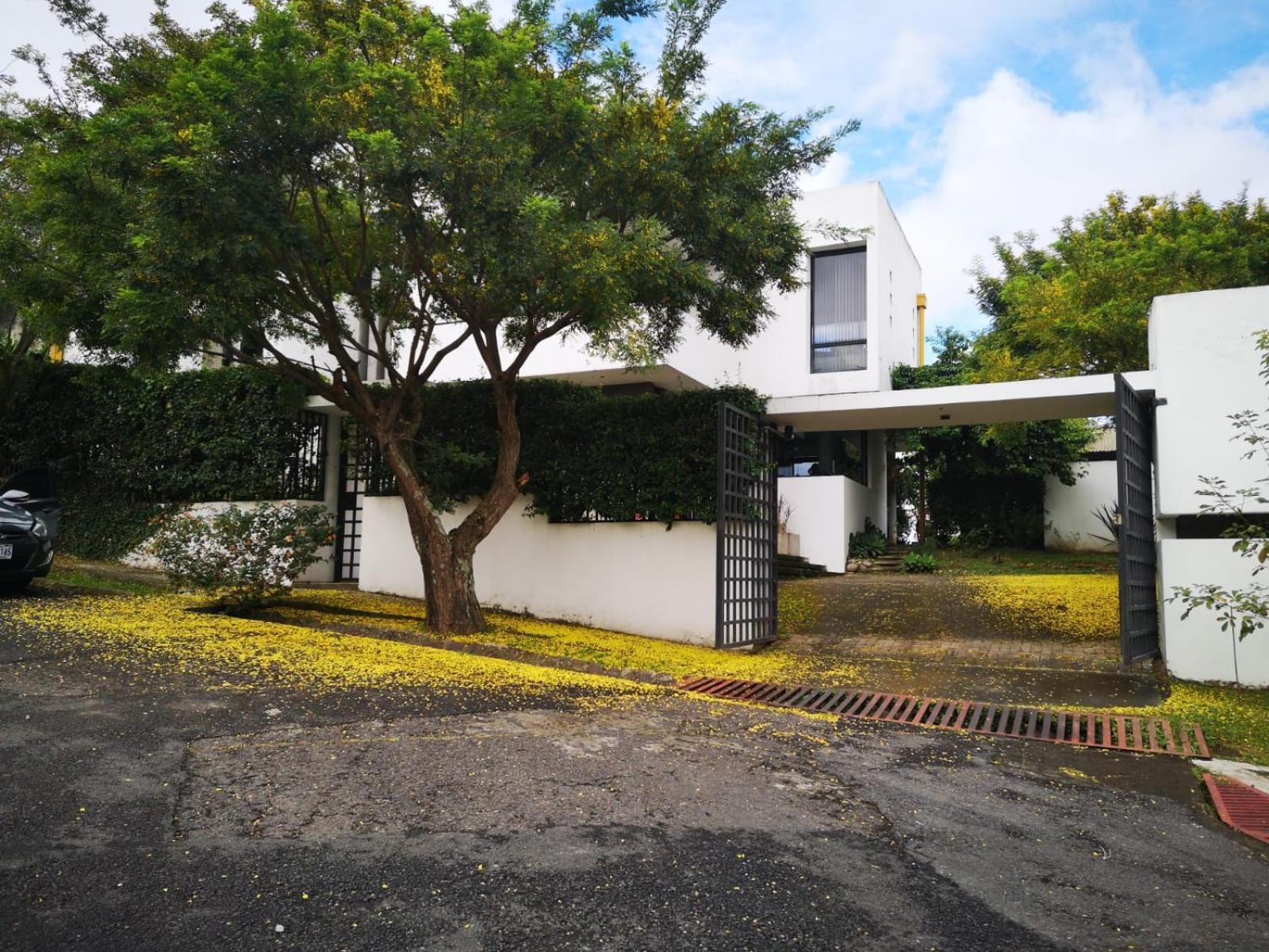 Casa Marlui-San Jose Lägenhet Curridabat Exteriör bild