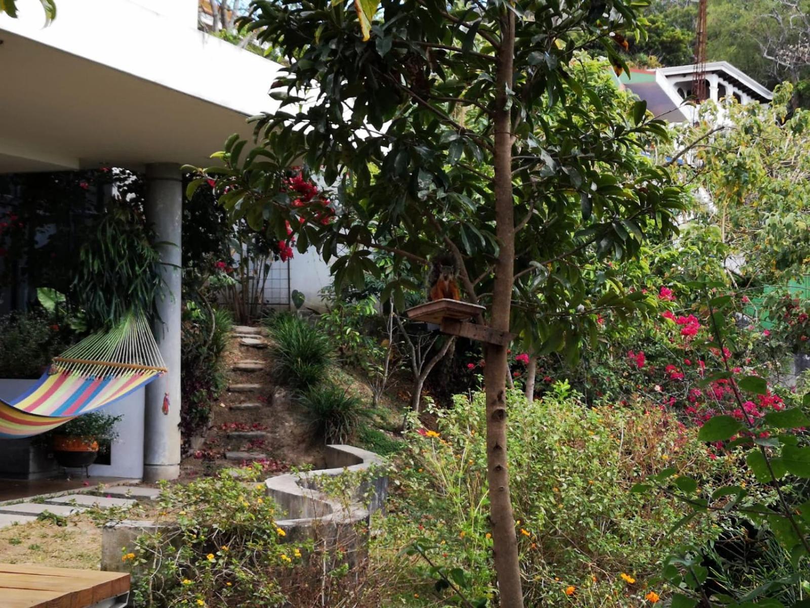 Casa Marlui-San Jose Lägenhet Curridabat Exteriör bild